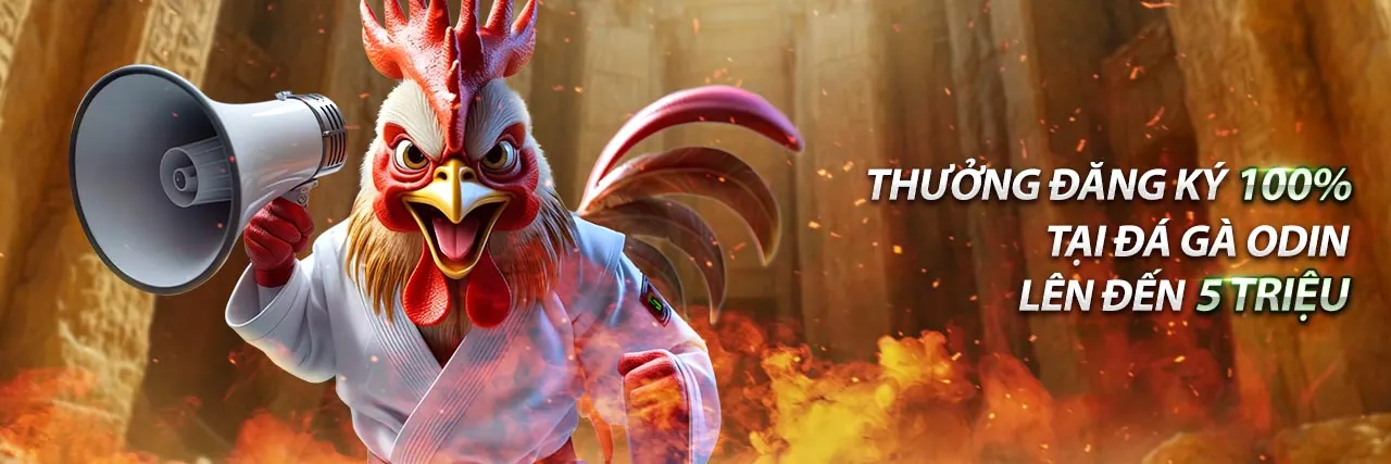 Chính sách cookie của rr88 link